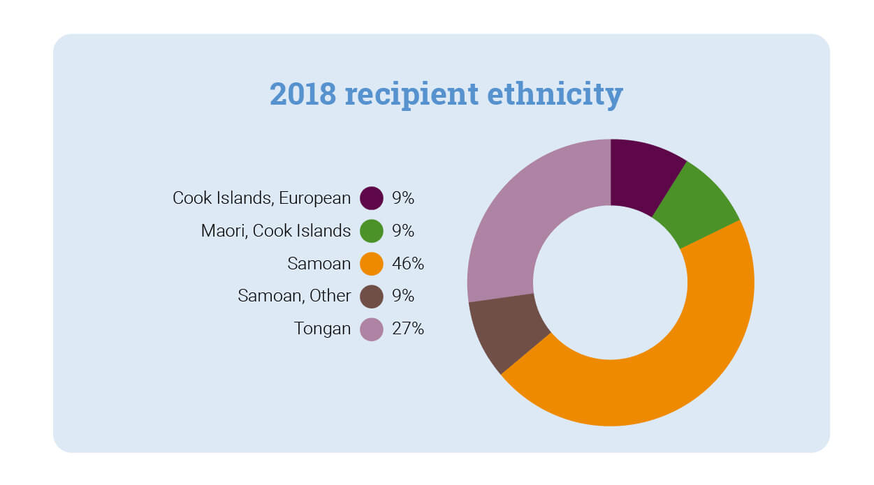 Pie graph showing the ethnicity of grant recipients. 