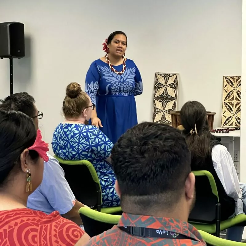Taitu’uga Mataafa-Komiti